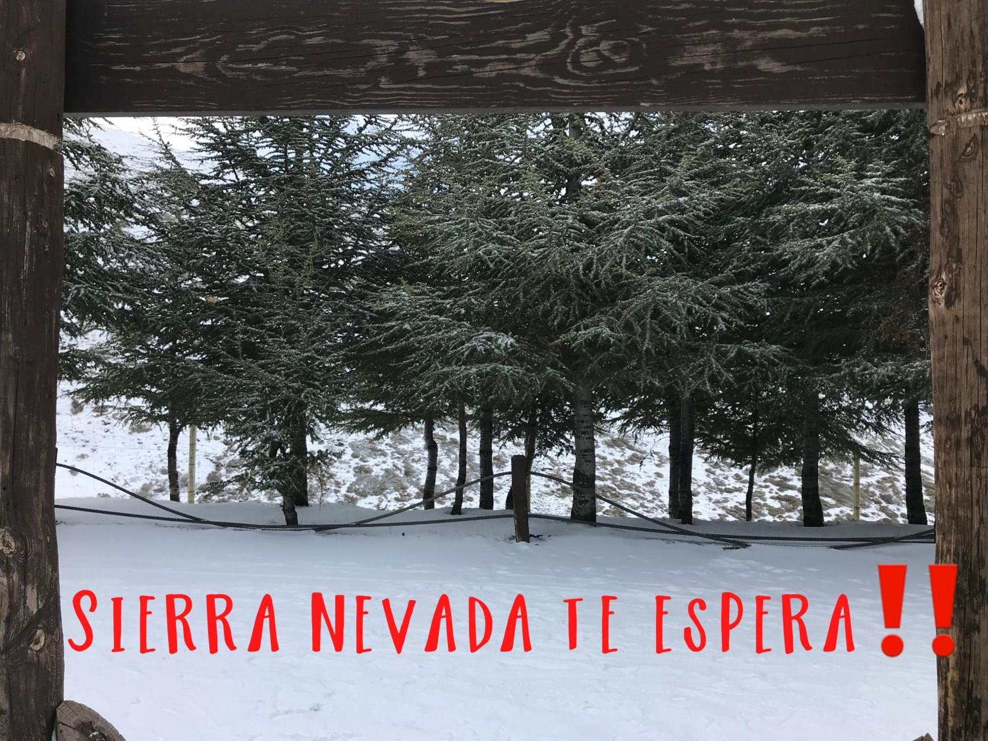 Inside Plaza Sierra Nevada Apartment Luaran gambar